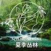 Download track 梦幻之夜