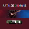 Download track Pata De Culoare