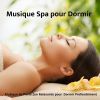 Download track Nuit De Méditation Et Sommeil