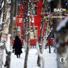 Download track Brandenburg Concerto No. 3 In G Major, BWV 1048 - I. - II. Adagio