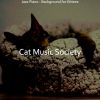 Download track Beautiful Ambiance For Cats