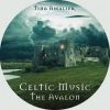 Download track 09 Celtic Sanctuary