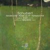 Download track Schubert Rondo Brillant En Si Mineur Op. 70, D. 895 - I. Andante