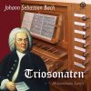 Download track Organ Sonata No. 3 In D Minor, BWV 527: I. Andante