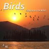 Download track Birds And Strong Wind