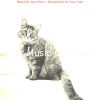 Download track Subtle Ambience For Cats