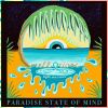 Download track Paradise State Of Mind