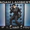 Download track If I Had You (Radio Mix)