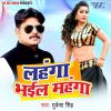 Download track Jaane Ja