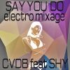 Download track Say You Do (Electro Mixage)