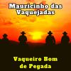 Download track Nossa Fazenda (Cover)