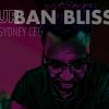 Download track Urban Bliss