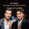 Download track Flute Duet No. 1 In E Minor, F. 54: II. Larghetto