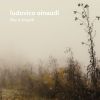 Download track Seven Days Walking / Day 1: Einaudi: Seven Days Walking / Day 1 - Low Mist