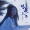 Download track 想我这样的良人 (Dj彭锐版伴奏)