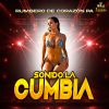 Download track Bailando Mi Rumba