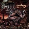 Download track False Divinity