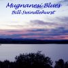 Download track Bill Swindlehurst - When You're Gone