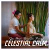 Download track Calm Spa Music