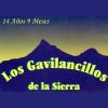 Download track El Gavilancillo