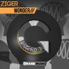 Download track Wonder (Orelse Dub Mix)