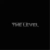 Download track The Level