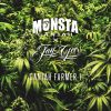 Download track Ganjah Farmer