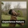 Download track Meditation With Nature, Pt. 12