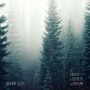 Download track Mist In The Low Pines