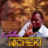 Download track Hebu Nicheki