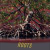 Download track Roots (Alternate Version)