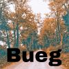 Download track Bueg