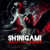 Download track Wrath Of Sh1Nigami (Radio Edit)