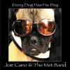 Download track Every Dog Has His Day