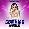 Download track La Cumbia Sampuesana