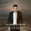 Download track Dalgın Dalgın