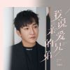 Download track 我说亲爱的兄弟