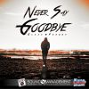 Download track Never Say Goodbye (Extended Version)