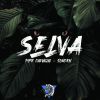 Download track Selva (Original Mix)