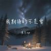 Download track 我期待的不是雪 (Emo版)