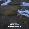 Download track Renaissance