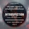 Download track Introspection (Frank Ross Remix)