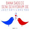 Download track Canım Sevgilim