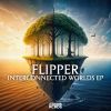 Download track Junak (Flipper's Indo-Greek Remix)