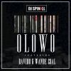 Download track Olowo