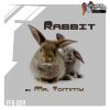 Download track Hare (Original Mix)