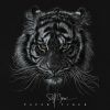 Download track Paper Tiger