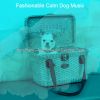 Download track Paradise Like Ambience For Doggies