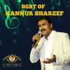 Download track Karalile Oru Pidi