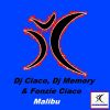 Download track Malibu (Alonso Chavez Electronic Radio Edit)